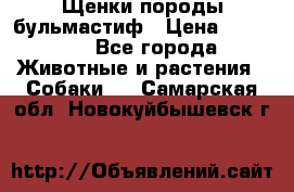 Щенки породы бульмастиф › Цена ­ 25 000 - Все города Животные и растения » Собаки   . Самарская обл.,Новокуйбышевск г.